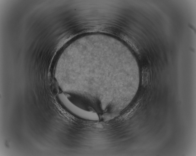 X0000097660876200803280948