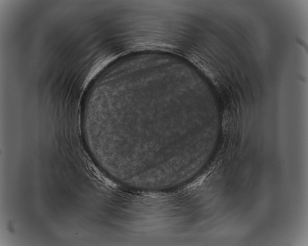 X0000097660877200803280948