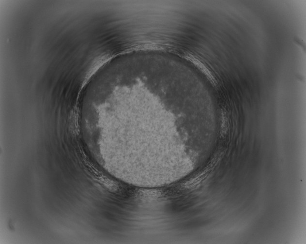 X0000097660878200803280948