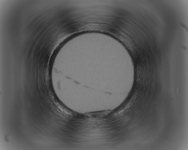 X0000097660880200803280948