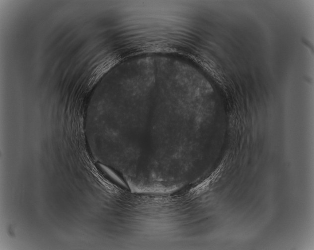 X0000097660881200803280948
