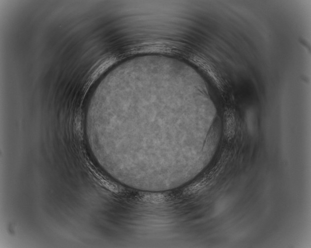 X0000097660882200803280948