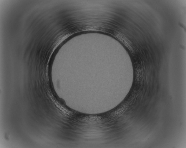 X0000097660884200803280948