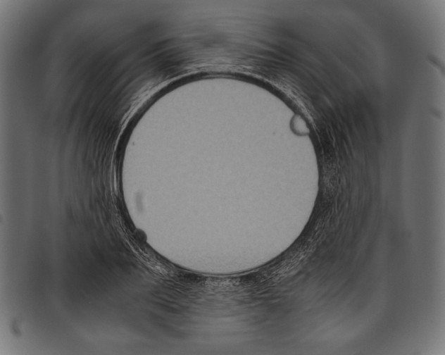 X0000097660887200803280948