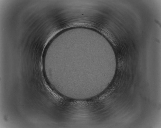 X0000097660888200803280948