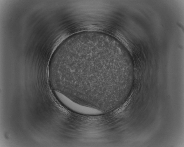 X0000097660891200803280948