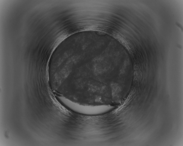 X0000097660892200803280948