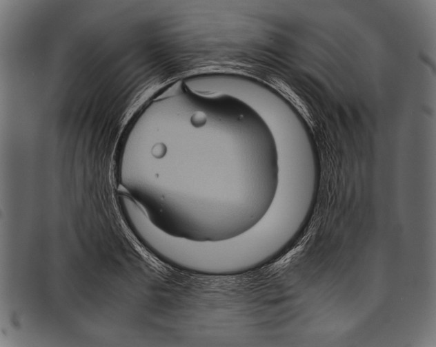 X0000097660893200803280948