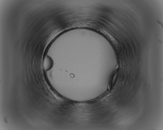 X0000097660894200803280948