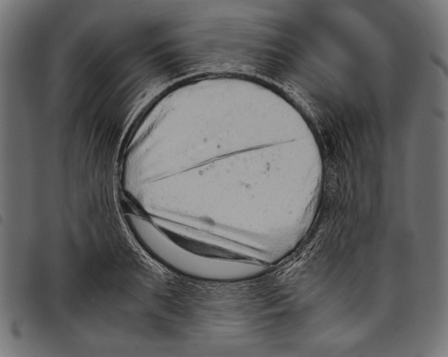 X0000097660895200803280948