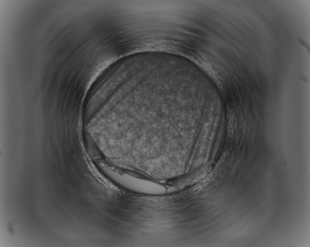X0000097660896200803280948