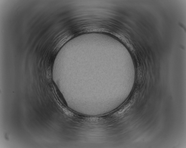 X0000097660897200803280948