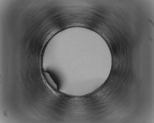 X0000097660898200803280948