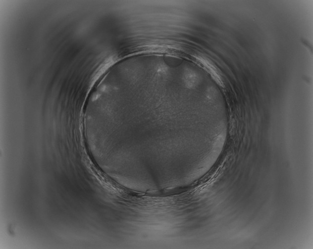 X0000097660899200803280948
