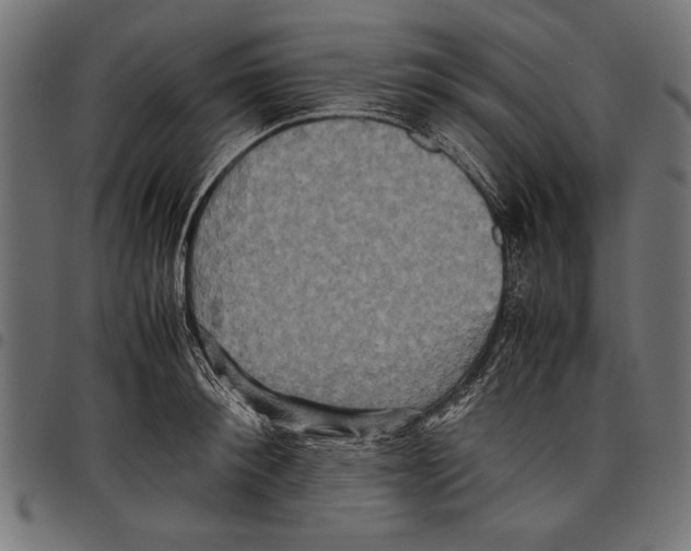 X0000097660900200803280948