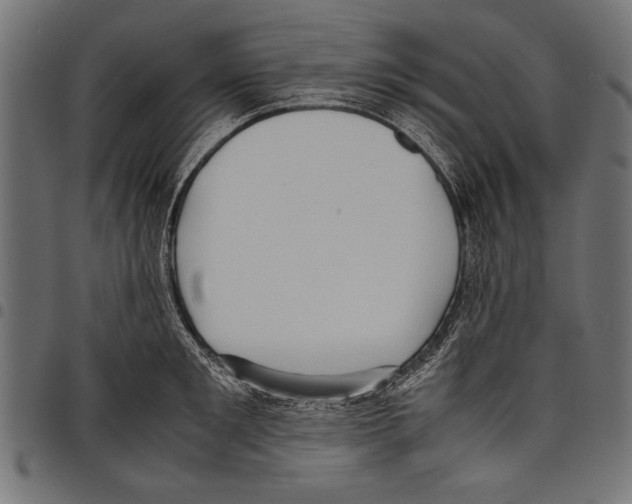 X0000097660901200803280948