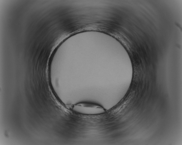 X0000097660902200803280948