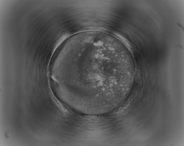 X0000097660907200803280948