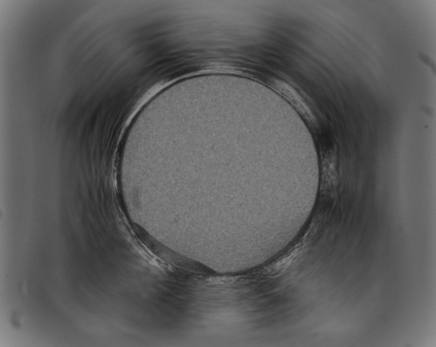 X0000097660908200803280948
