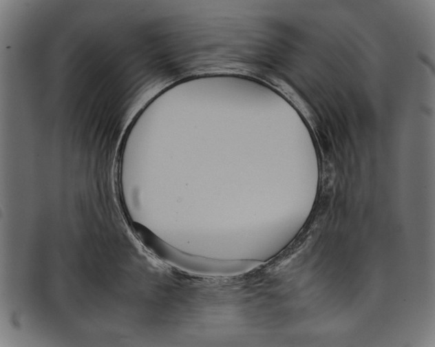 X0000097660909200803280948