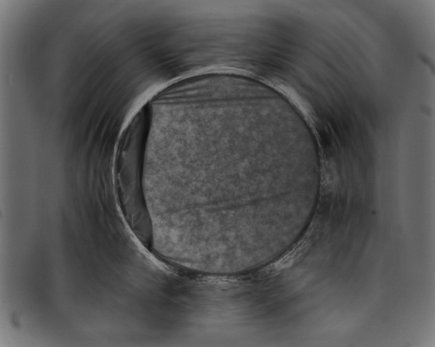 X0000097660910200803280948