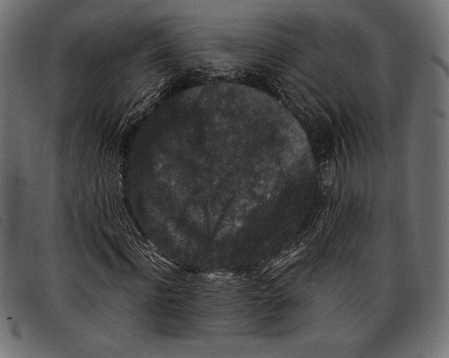 X0000097660916200803280947