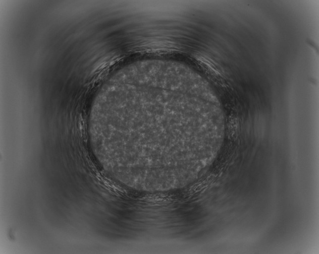 X0000097660917200803280947