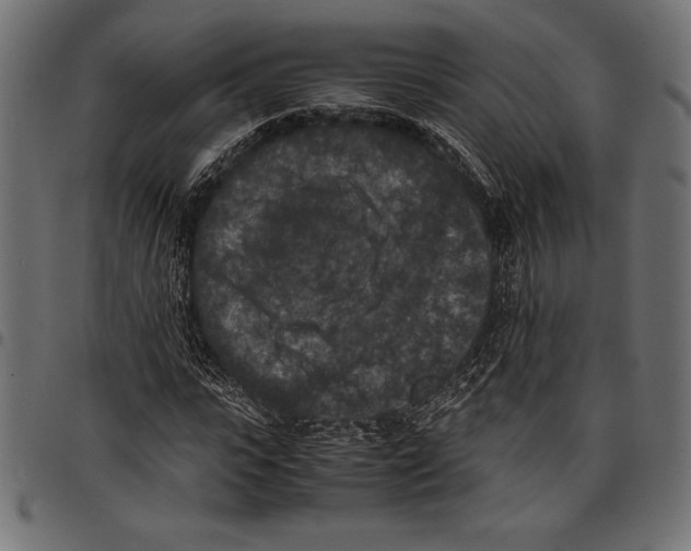X0000097660919200803280947