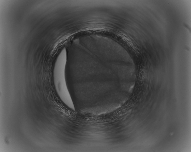 X0000097660920200803280947