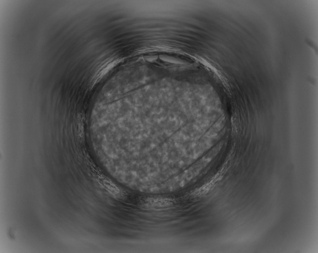 X0000097660921200803280947