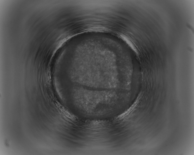 X0000097660923200803280947