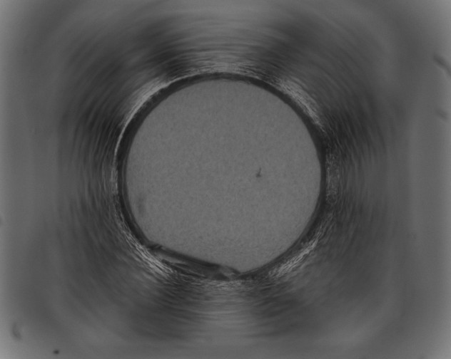 X0000097660924200803280947