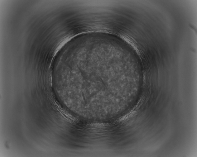 X0000097660925200803280947