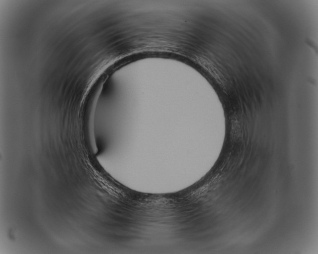 X0000097660926200803280947