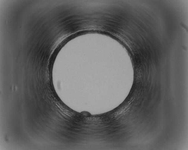 X0000097660927200803280948