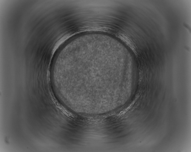 X0000097660928200803280948