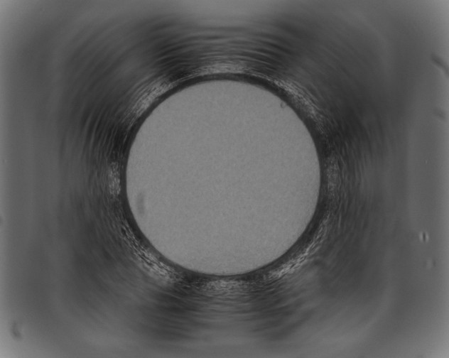 X0000097660929200803280948