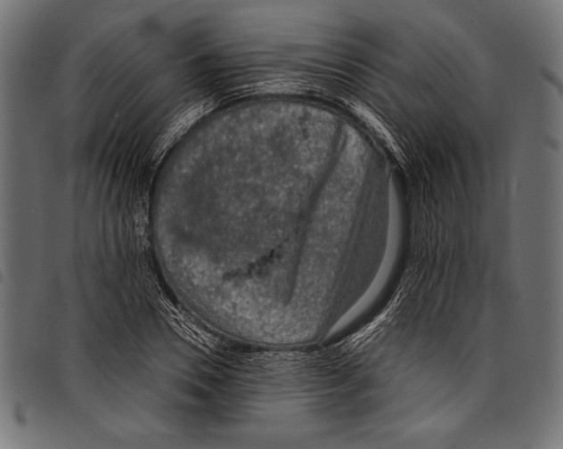 X0000097660930200803280948