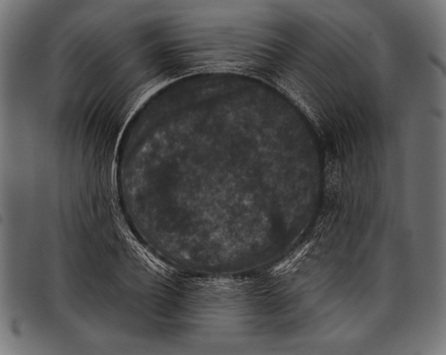 X0000097660932200803280948