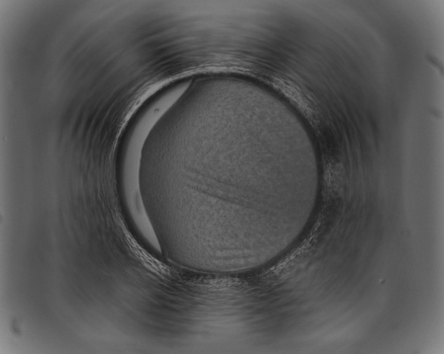 X0000097660934200803280948