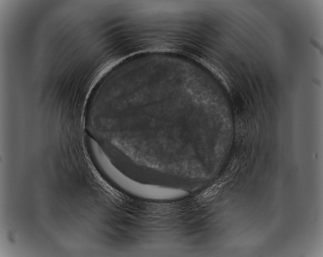 X0000097660935200803280948