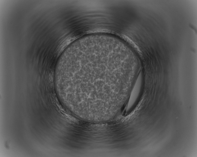 X0000097660937200803280948