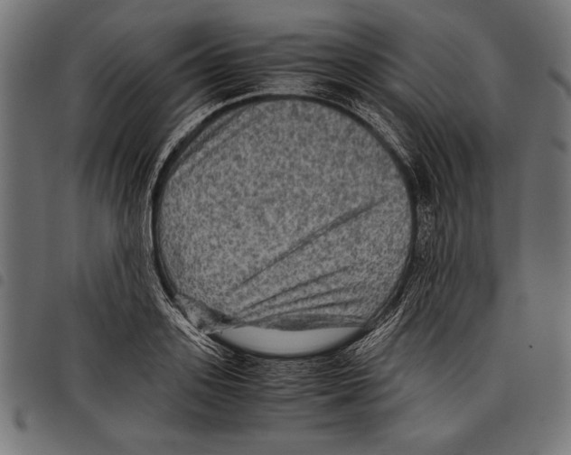 X0000097660939200803280948
