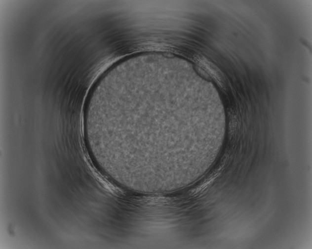 X0000097660940200803280948