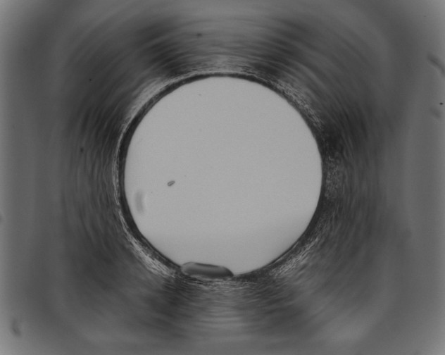 X0000097660942200803280948