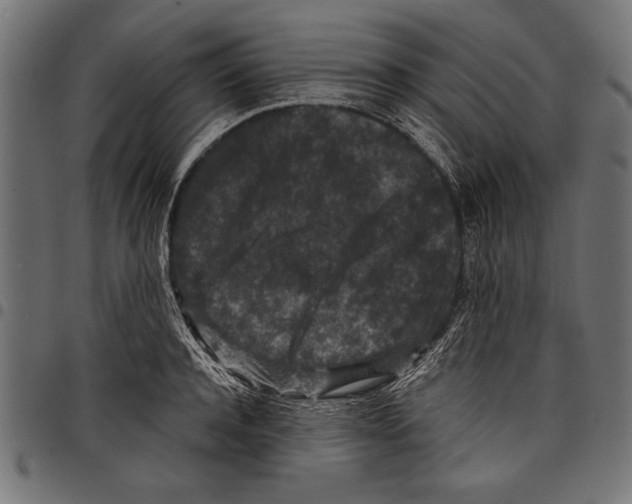 X0000097660944200803280948