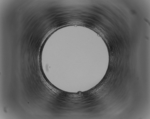 X0000097660947200803280948