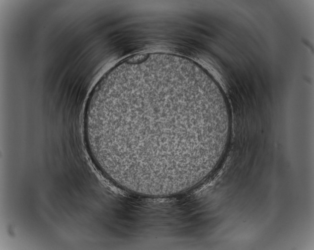 X0000097660949200803280948