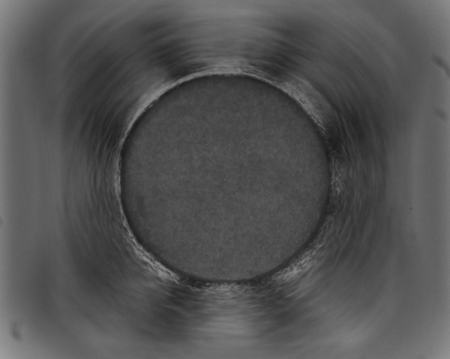 X0000097660950200803280948