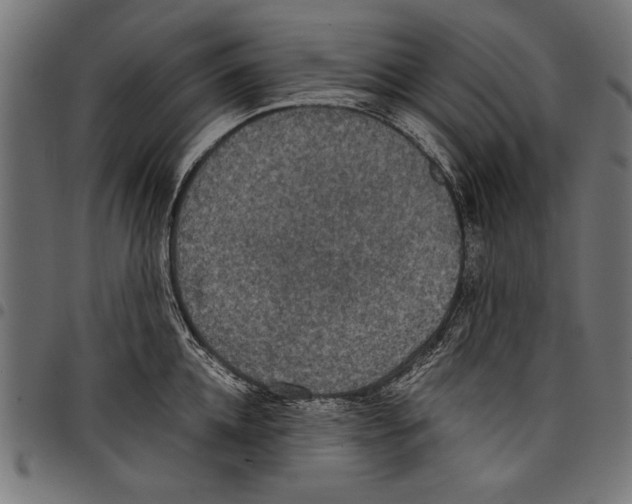 X0000097660952200803280948